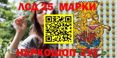 шишки Заволжье
