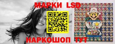 шишки Заволжье