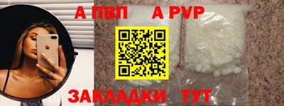 шишки Заволжье