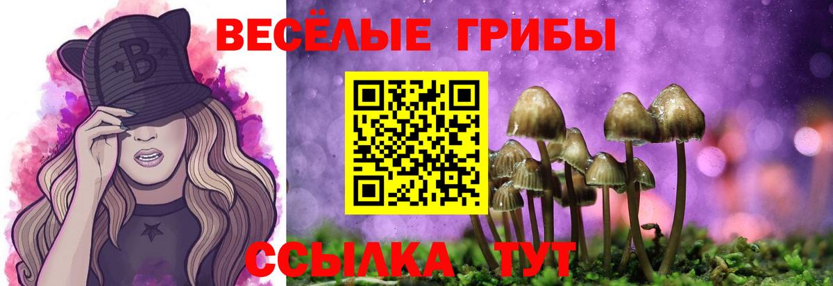 Озёрск  Галлюциногенные грибы ЛСД  Галлюциногенные грибы ЛСД  Вход с VPN 